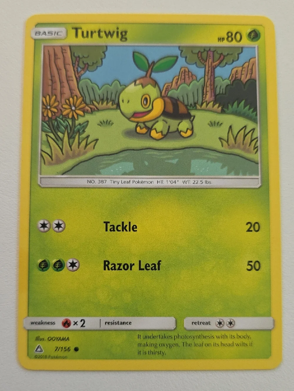Pokemon Grookey, Thwacky, Turtwig, Rillaboom, And Grotle Card